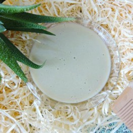 Shampoing Purifiant et Équilibrant - Argile verte & Aloe vera
