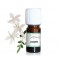 Jasmin - Fragrance naturelle