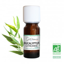 Eucalyptus citronné BIO (AB) - Huile essentielle